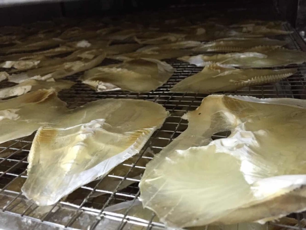 High-Efficiency Heat Pump Fish Dryers