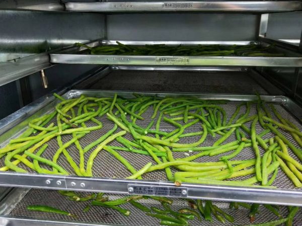 Vegetable Heat Pump Dryer