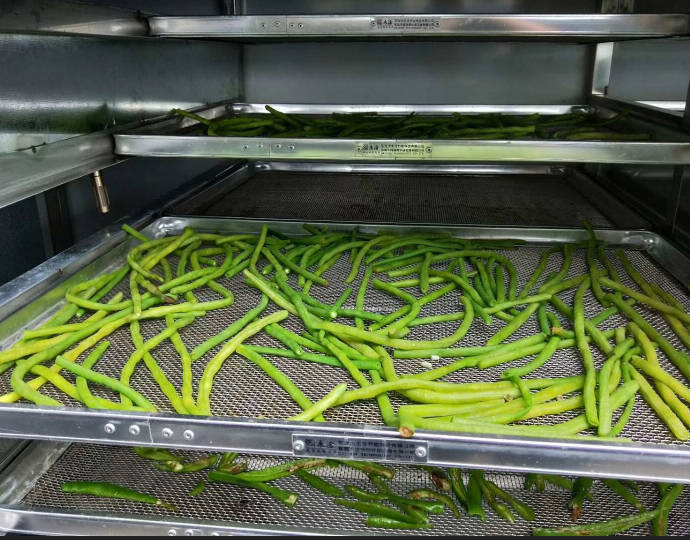 Vegetable dryer